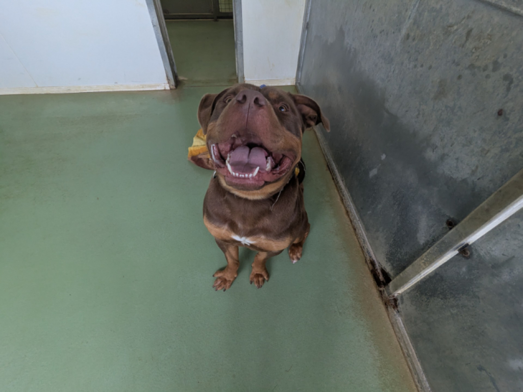 Photo #2 de Darkness