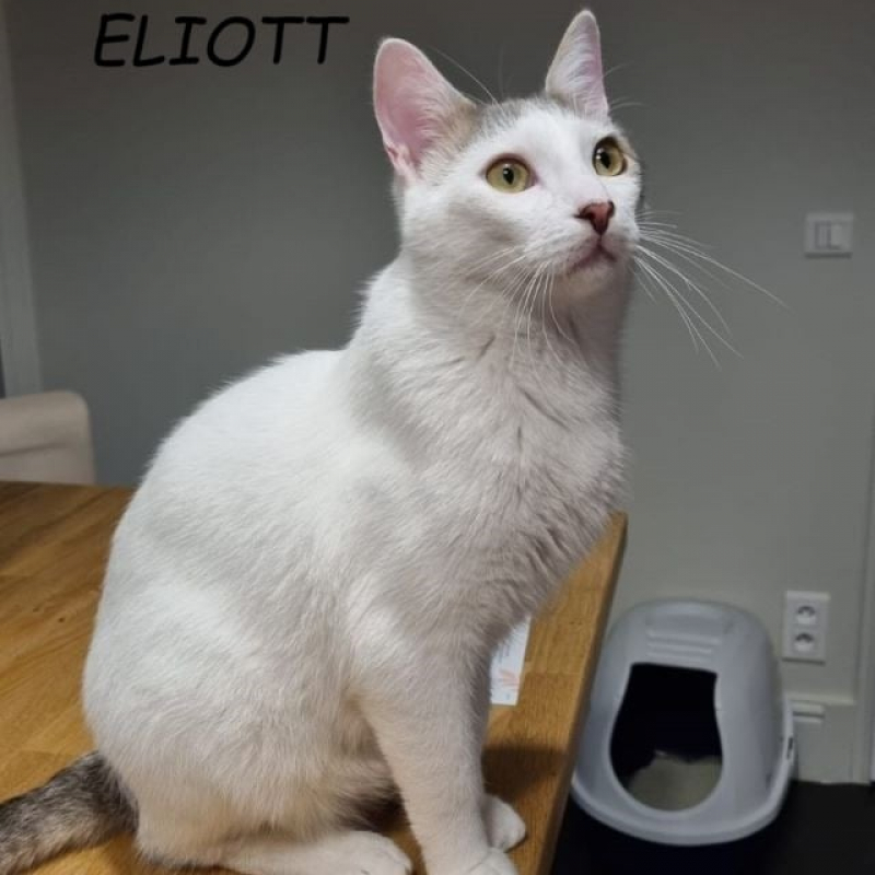 Photo de Eliott