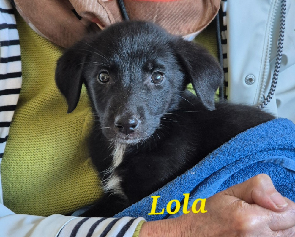 Photo de Lola