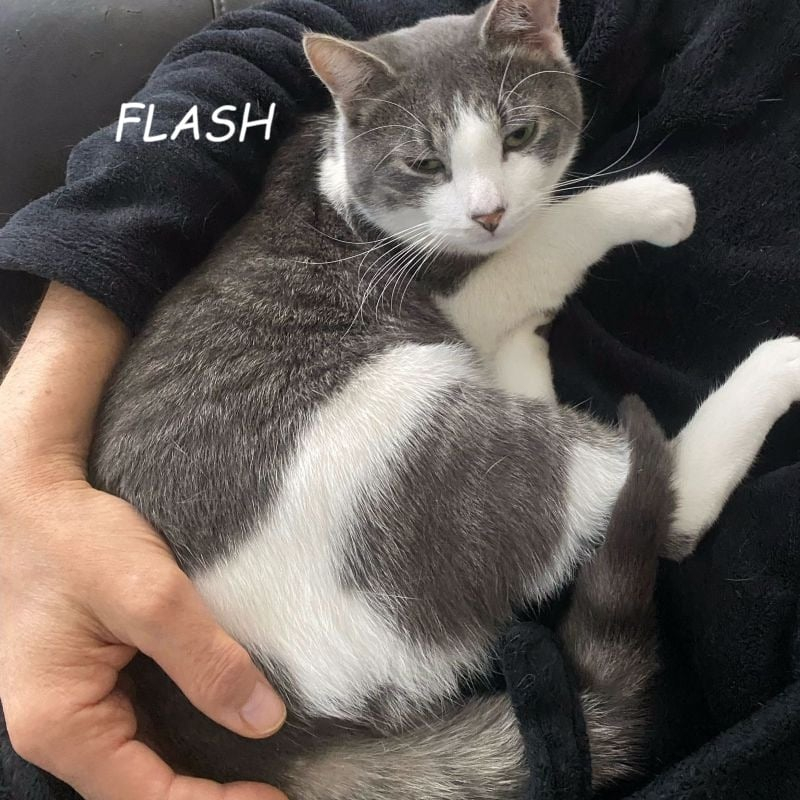 Photo de Flash