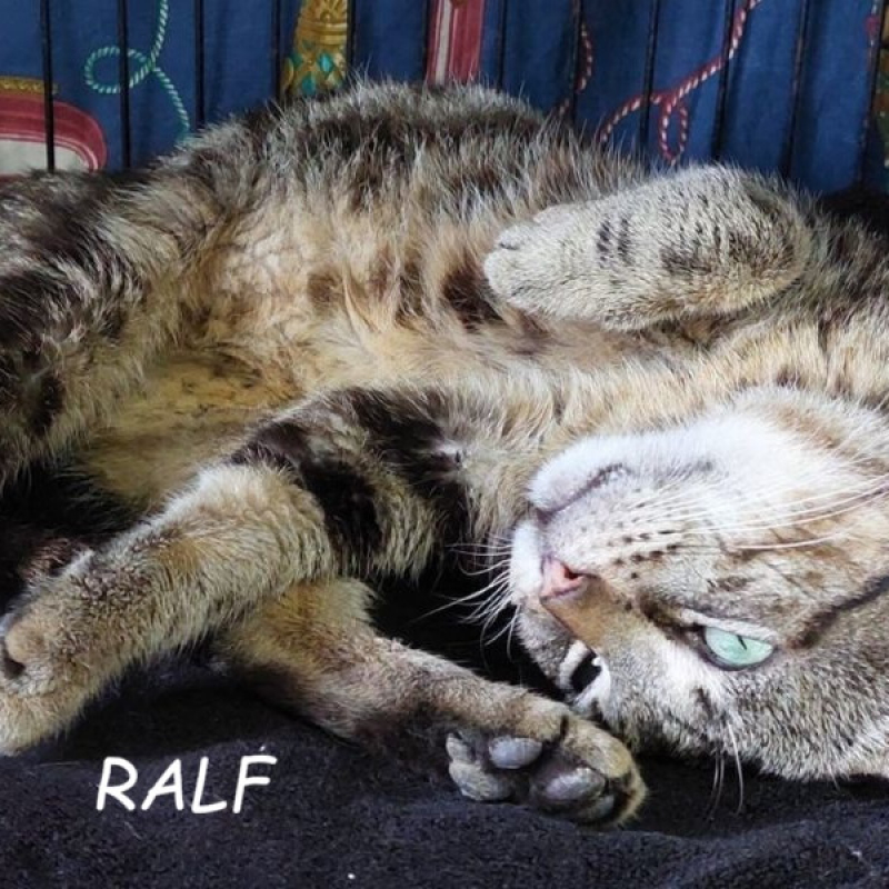 Photo de Ralf