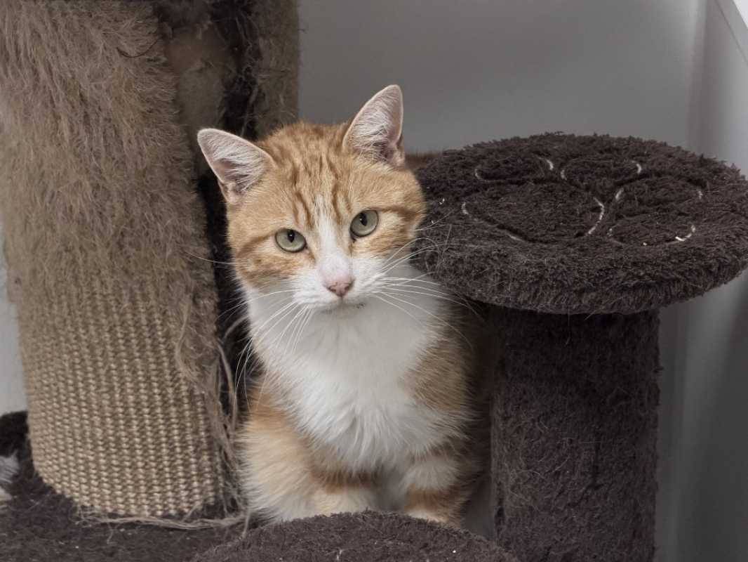 Photo #2 de Maigrichon