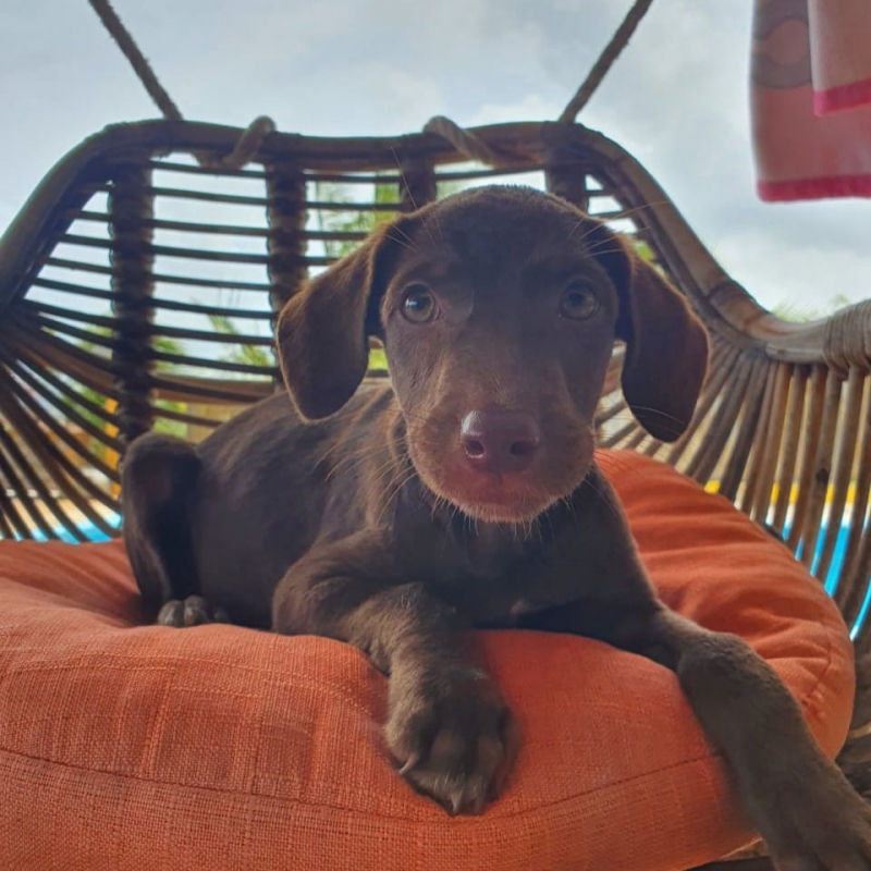 Photo de Ti Balou