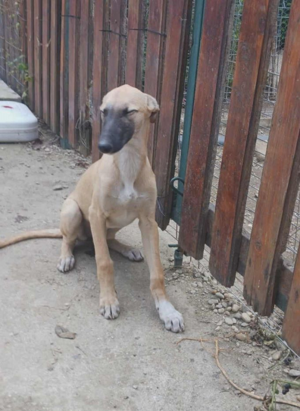 Photo #1 de Mariposa 