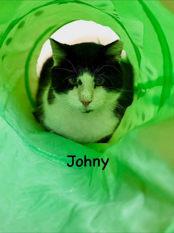 Photo #6 de JOHNY