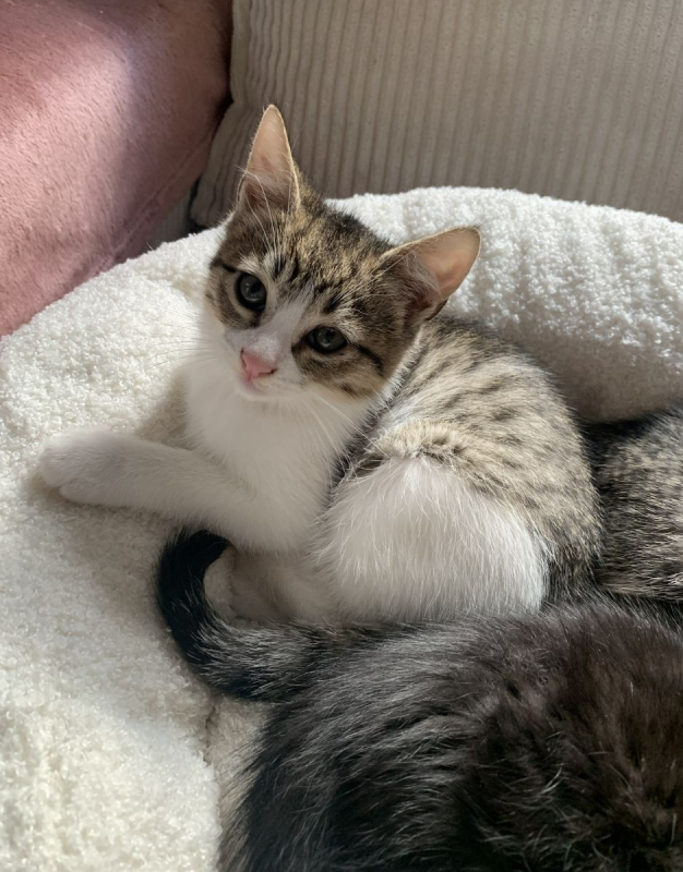 Photo #1 de ARSOUILLE