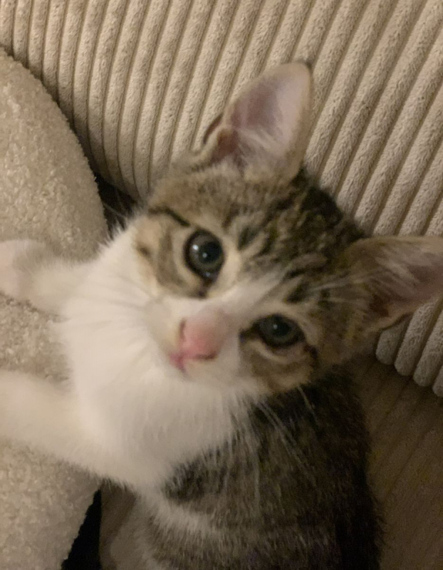 Photo #2 de ARSOUILLE