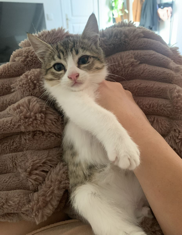 Photo #3 de ARSOUILLE