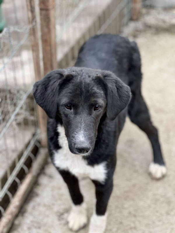 Photo #1 de Esperanza 