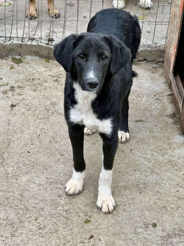 Photo #2 de Esperanza 