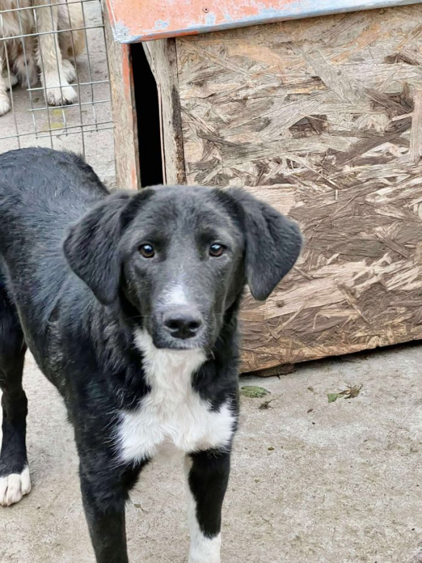 Photo #3 de Esperanza 