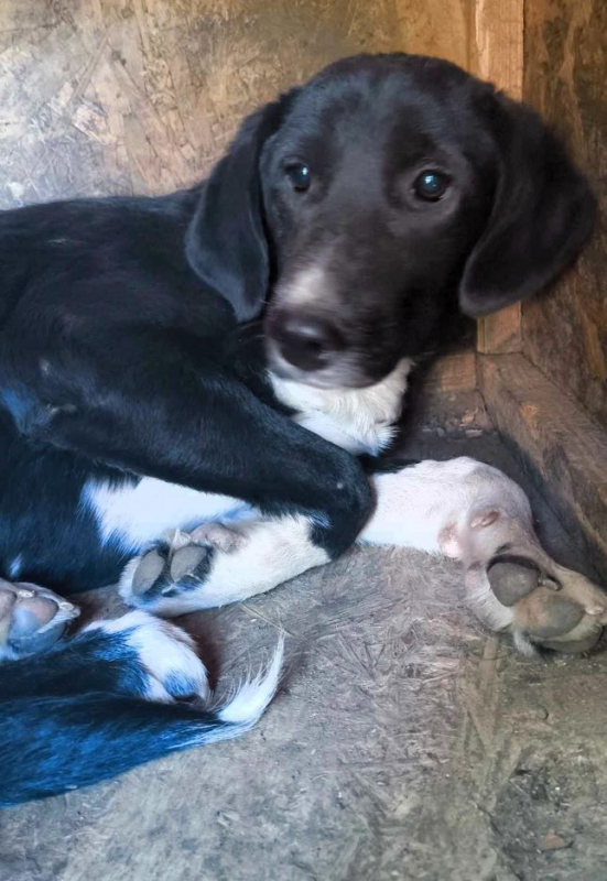 Photo #4 de Esperanza 