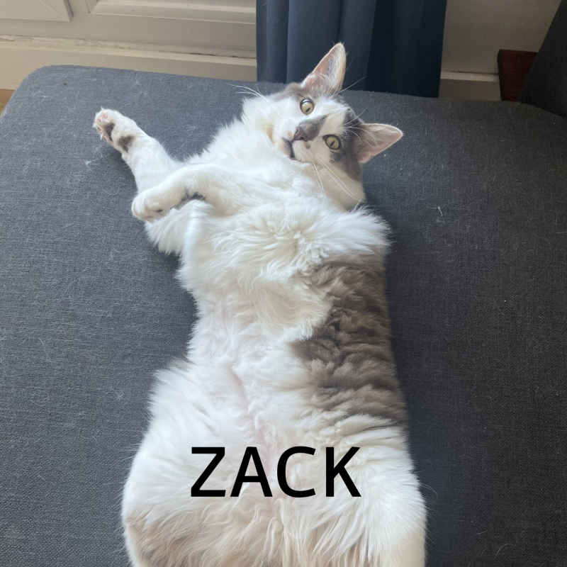 Photo de Zack
