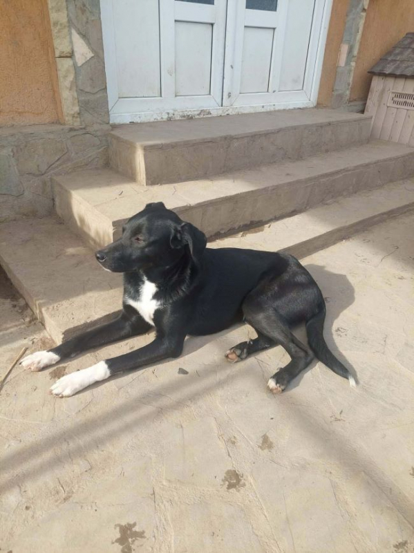 Photo #2 de Annaelle 