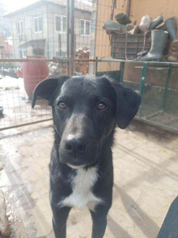 Photo #4 de Annaelle 