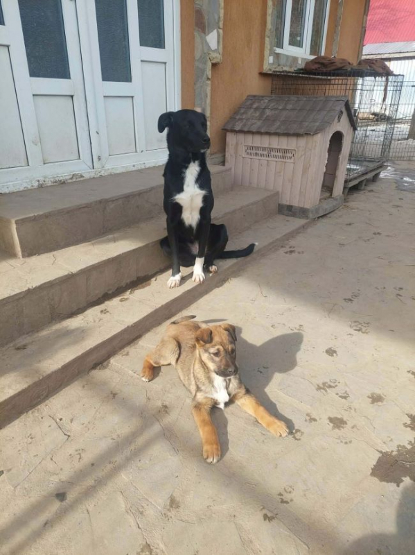 Photo #7 de Annaelle 