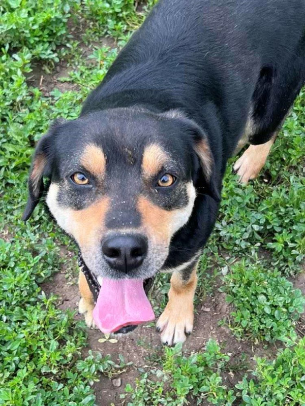 Photo #4 de Petitpois 