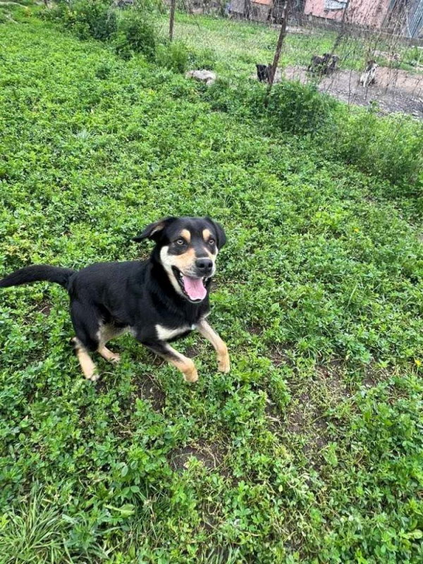 Photo #2 de Petitpois 