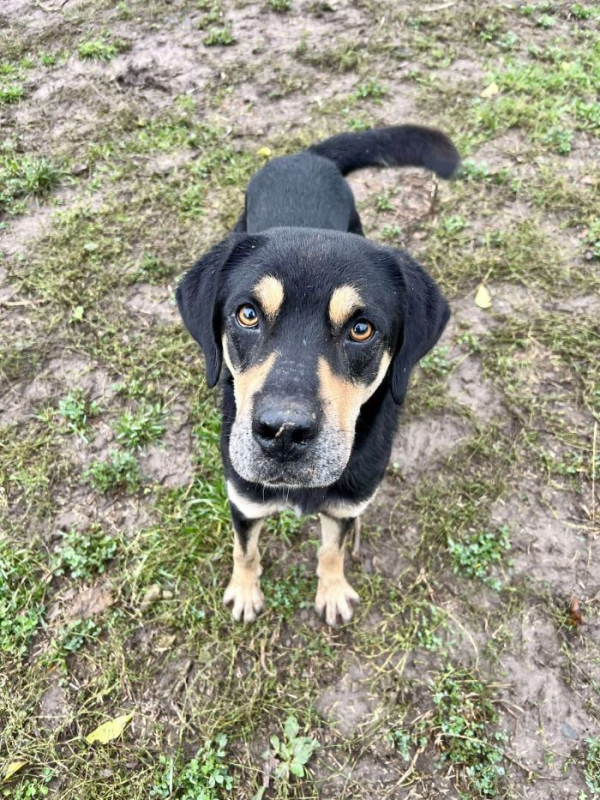 Photo #6 de Petitpois 