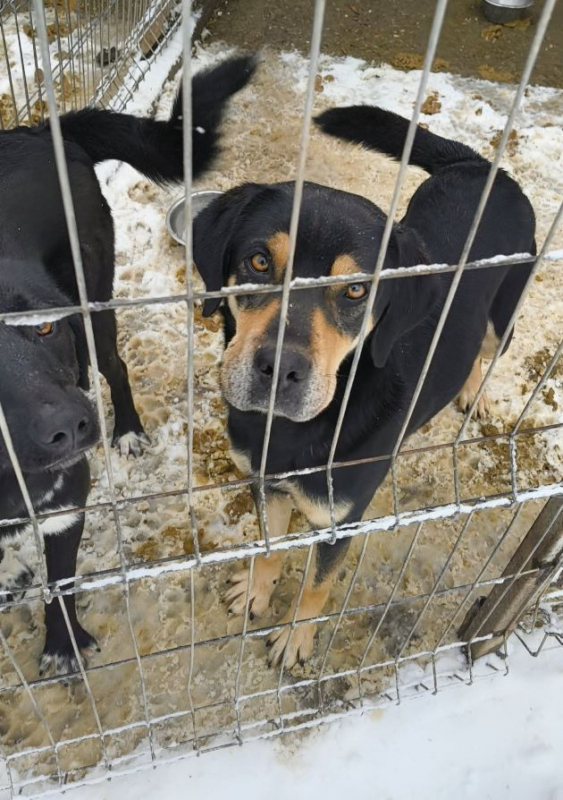 Photo #7 de Petitpois 