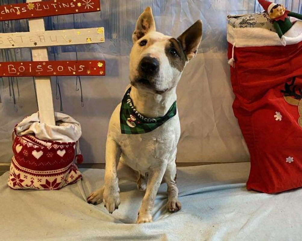 Photo #1 de Rondoudou