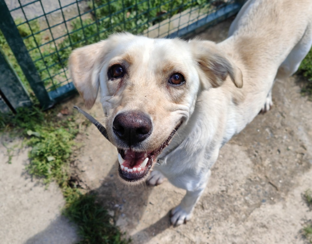 Photo #1 de Chanelle