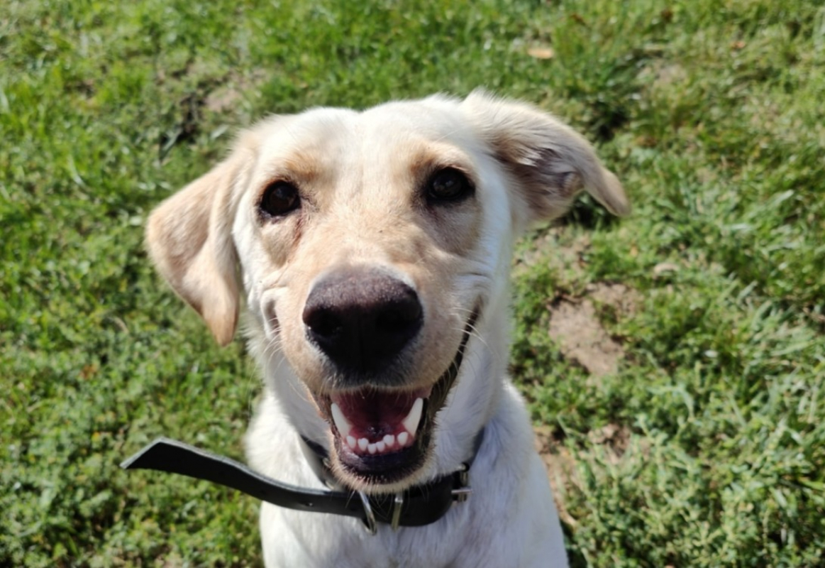 Photo #2 de Chanelle