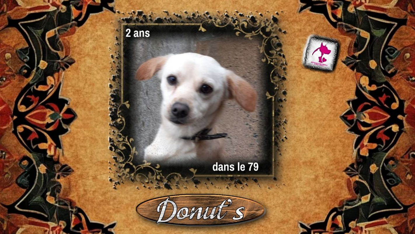 Photo de Donut'S