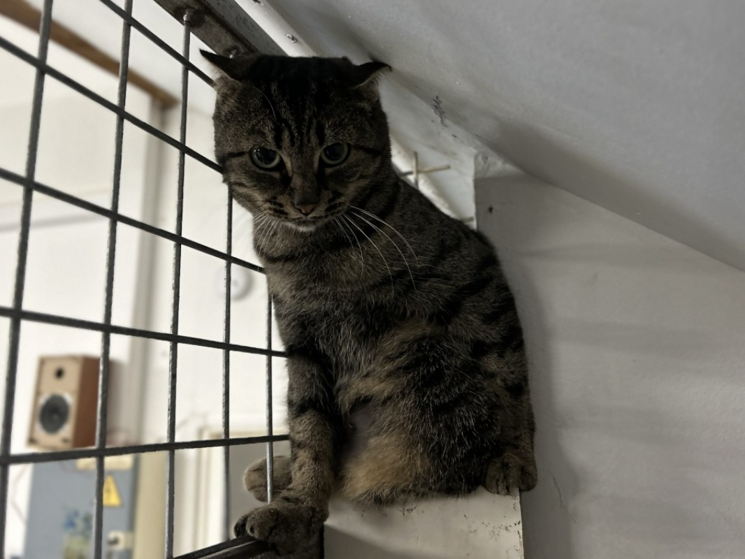 Photo #1 de Momichat