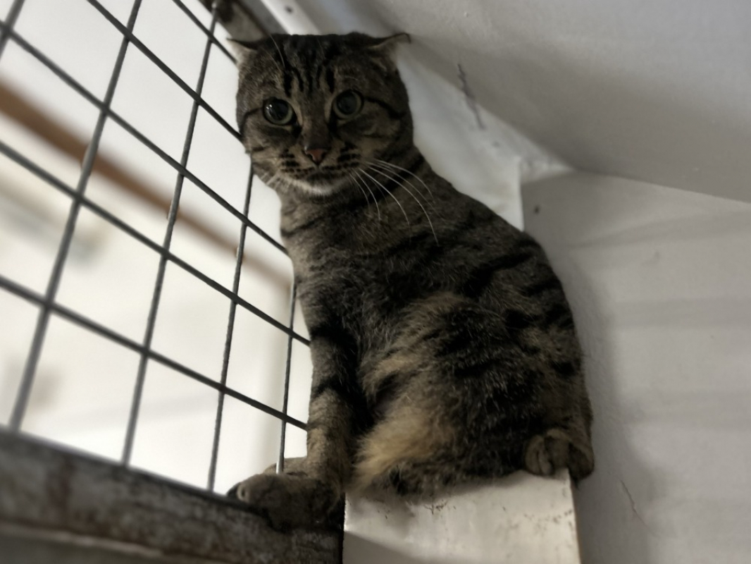 Photo #2 de Momichat