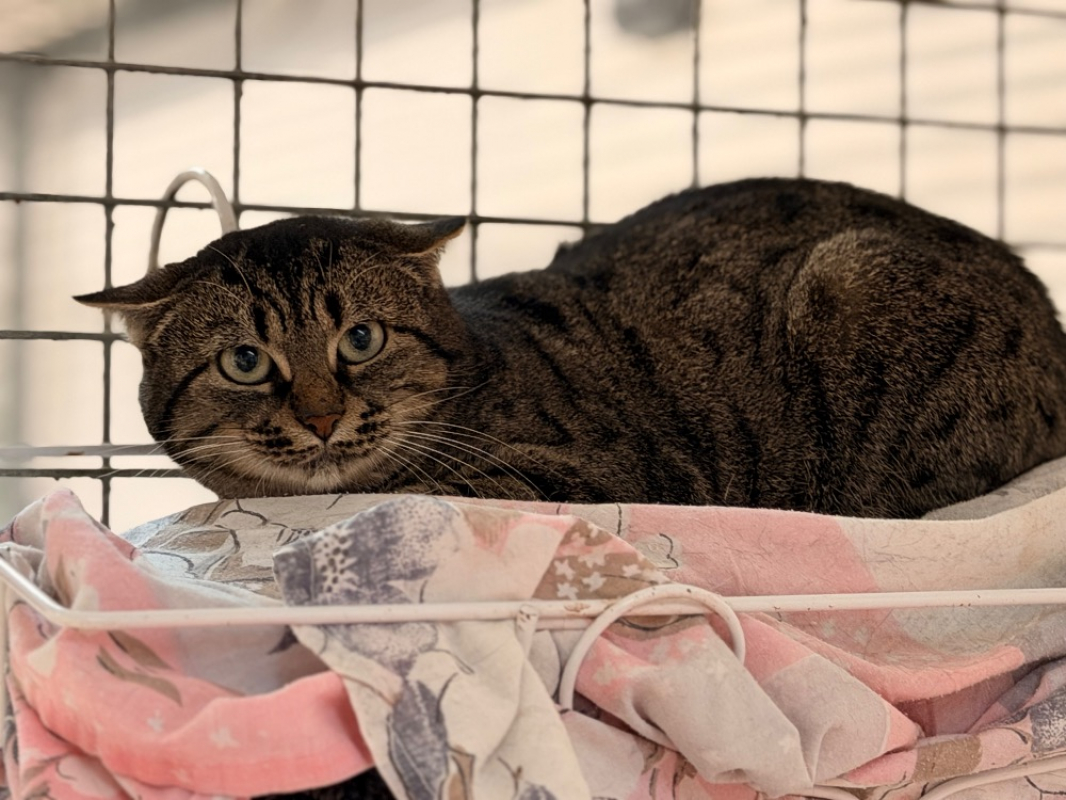 Photo #4 de Momichat