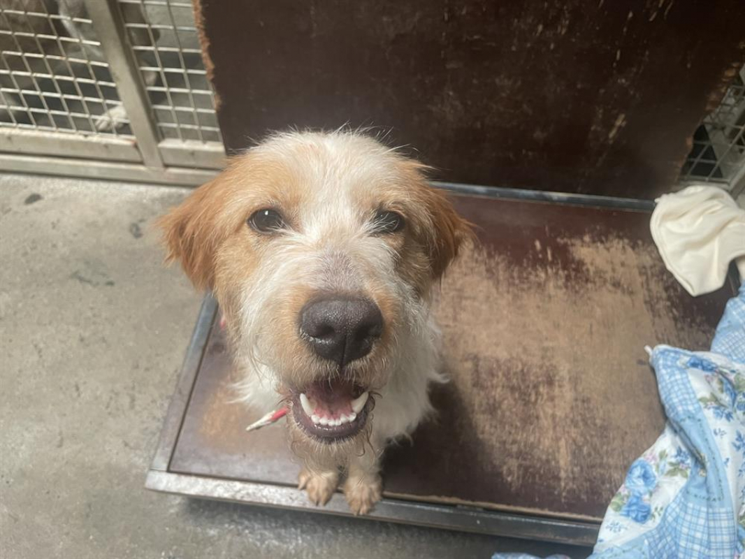 Photo de Triss dite uby