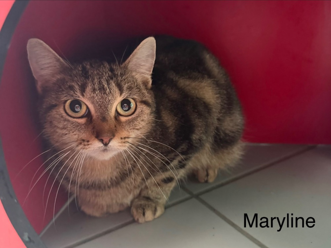 Photo #1 de Maryline