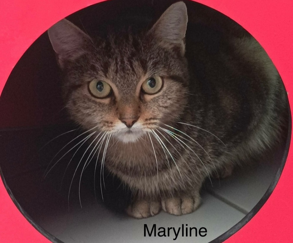 Photo #2 de Maryline