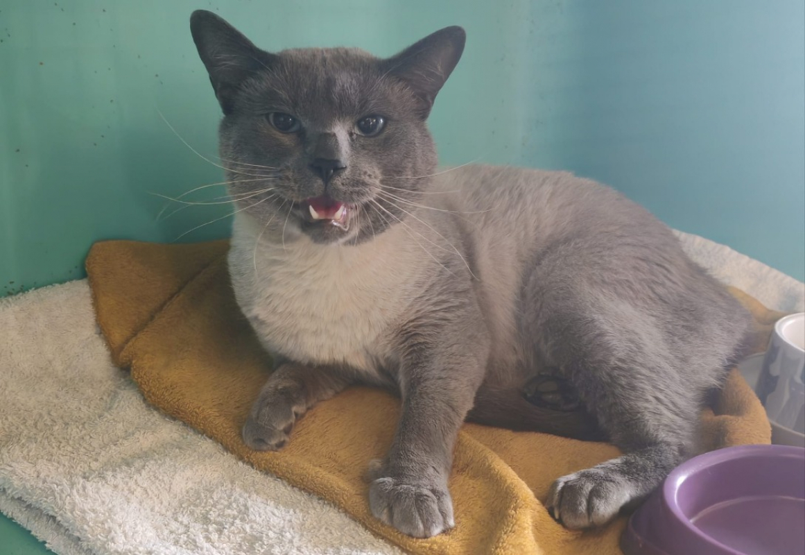 Photo de Hipster jungle