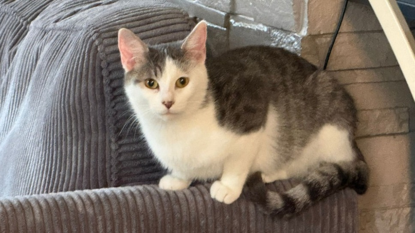 Photo de De beauvoir