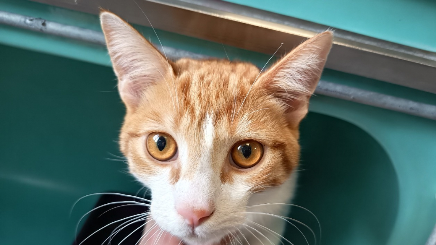 Photo de Knock knock