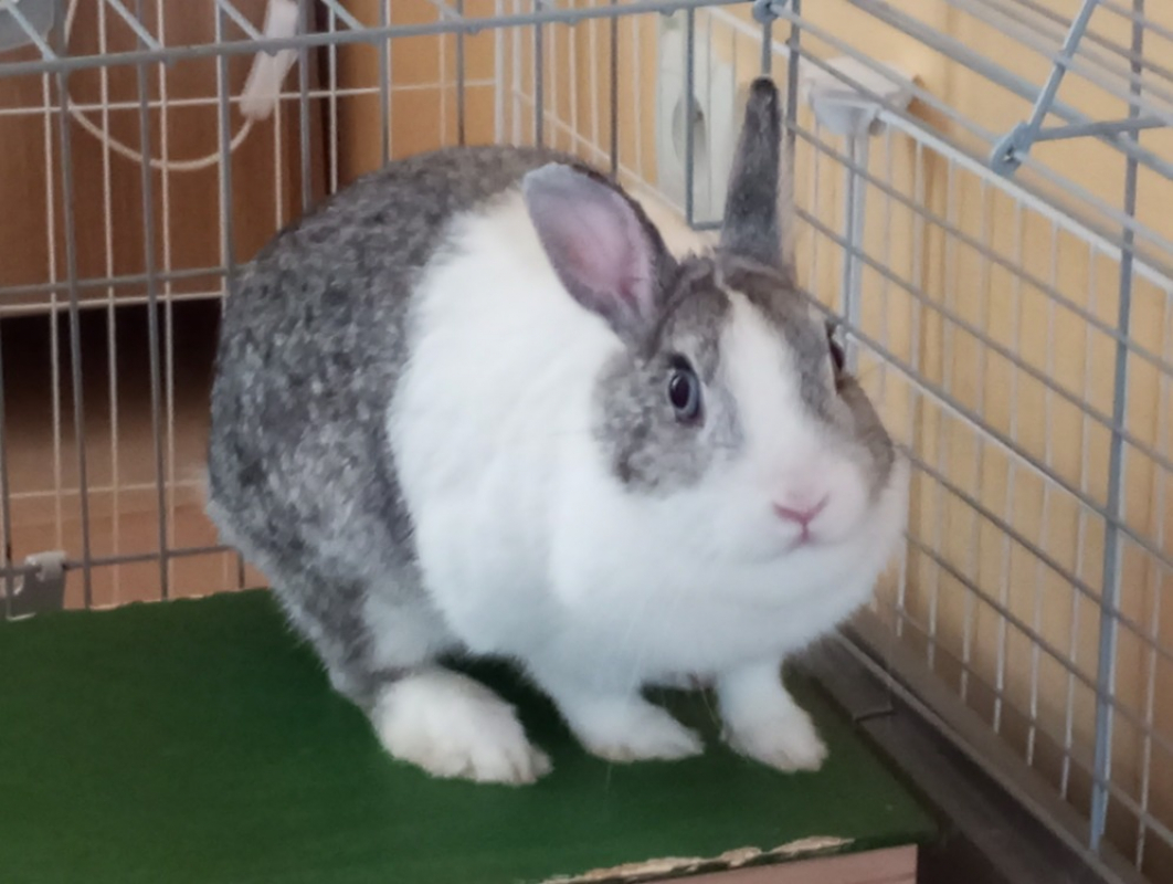 Photo #1 de AdelaÏde