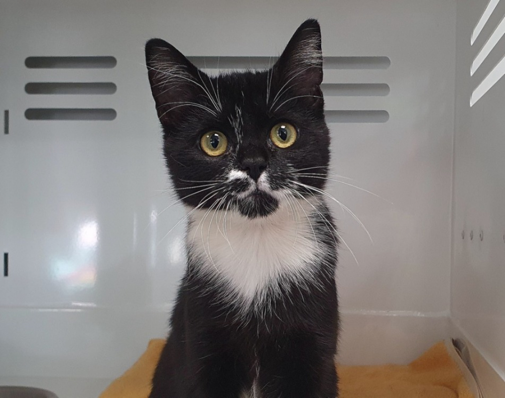 Photo #1 de Mme bricolage