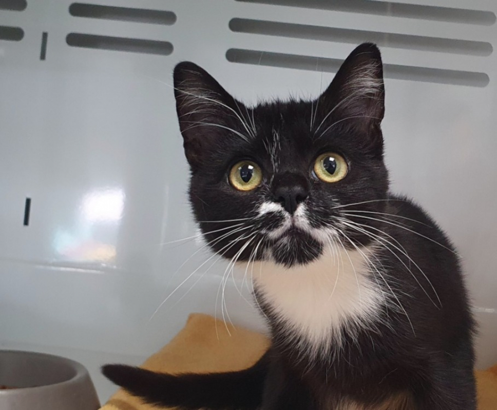 Photo #3 de Mme bricolage