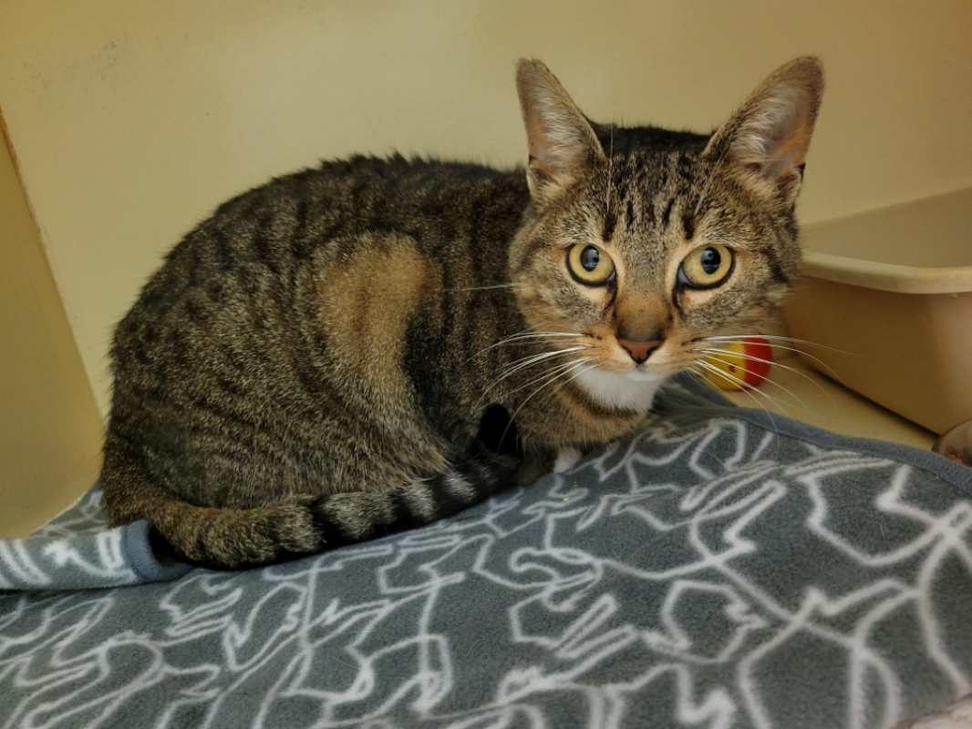 Photo #1 de Mini moi