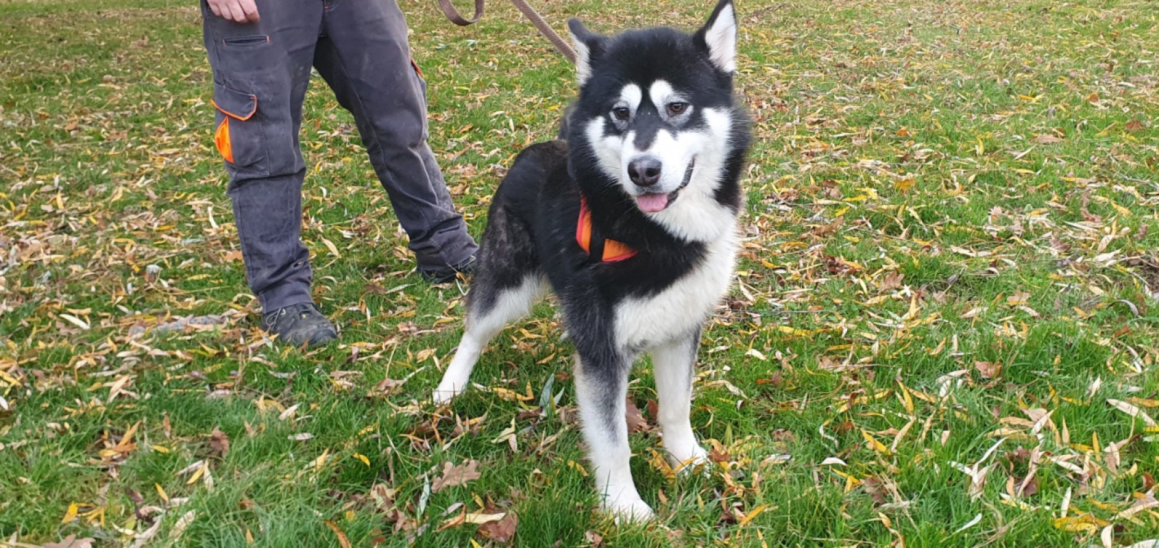 Photo #2 de Booboobis