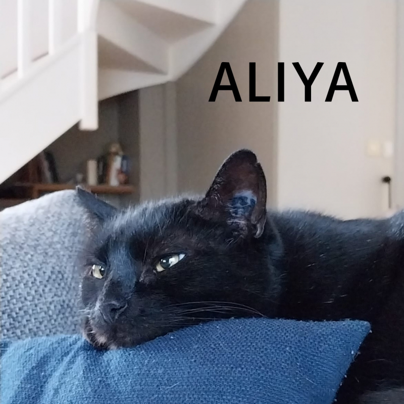 Photo de Aliya