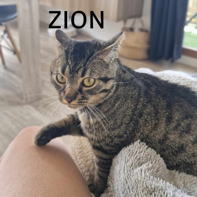 Photo de Zion