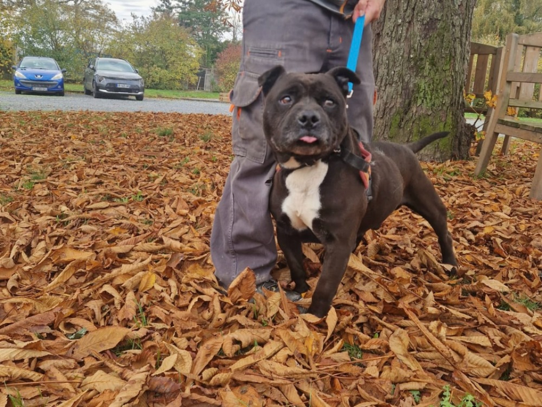 Photo #1 de Lord l' ron