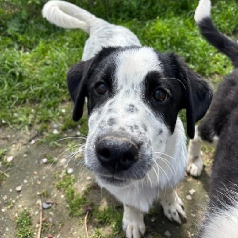 Photo de Apollo