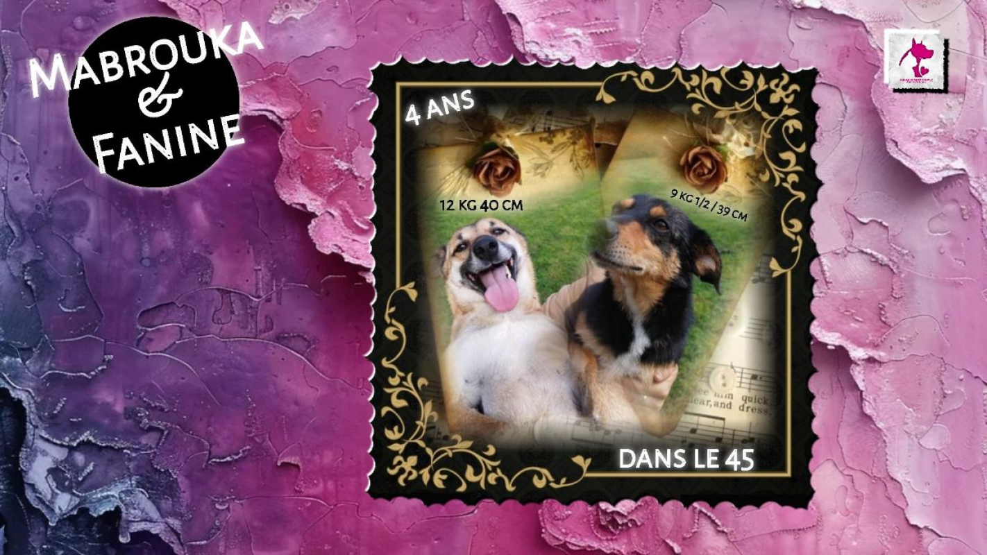 Photo de Mabrouka & Fanine