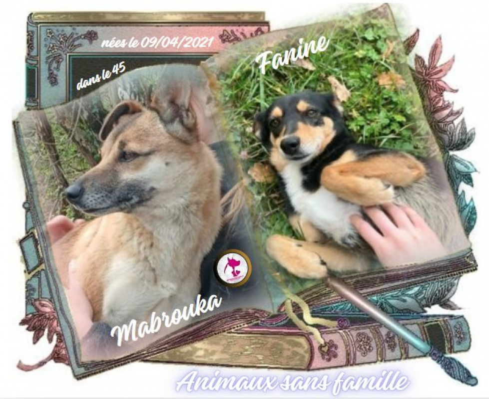 Photo de Mabrouka & Fanine