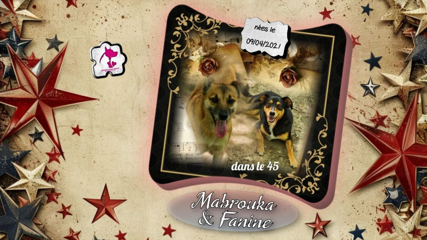 Photo de Mabrouka & Fanine