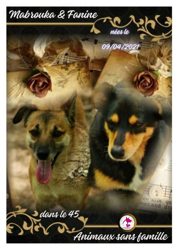 Photo de Mabrouka & Fanine